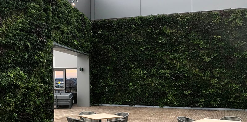 Pier 4 Rooftop Terrace preview 19